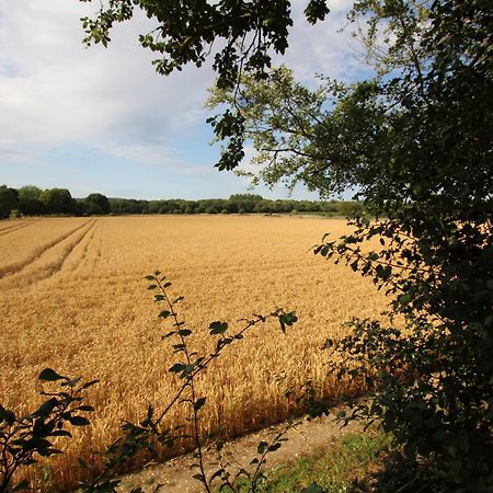 Cowslip Barn Annexe Leilighet Chichester Eksteriør bilde